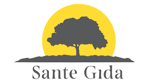Sante Gıda Network Kurulumu